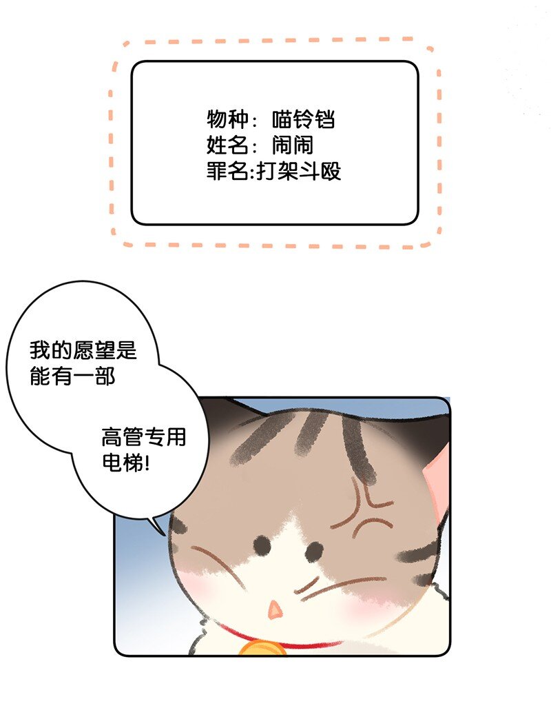 26 喵高管们的新年愿望？-第29话