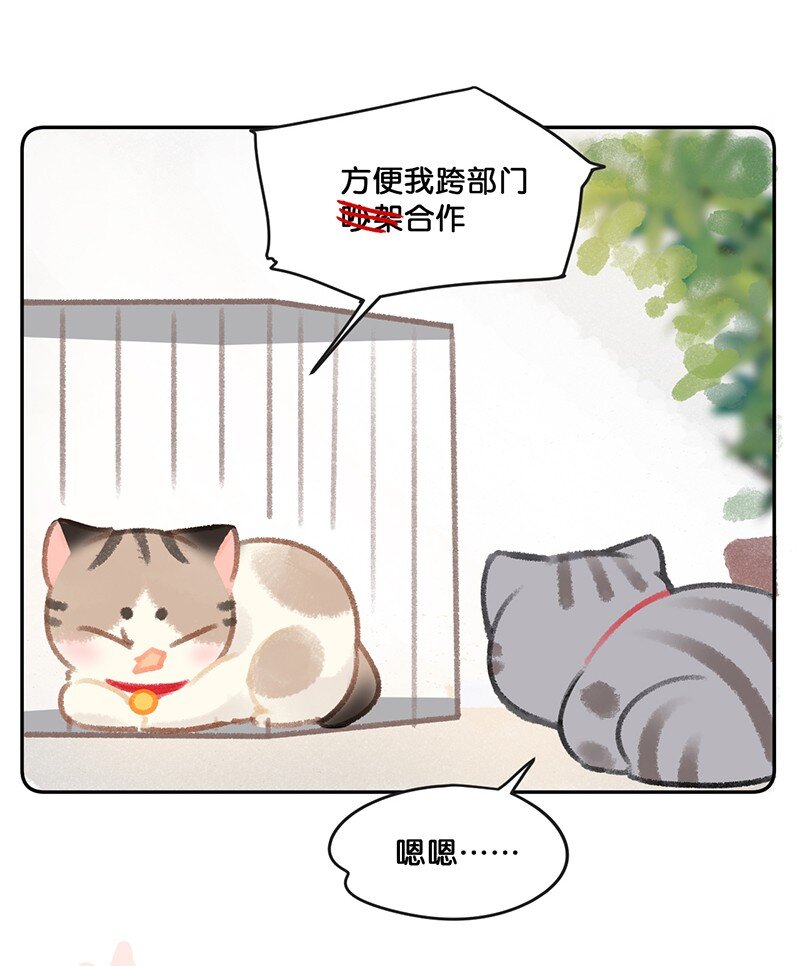 26 喵高管们的新年愿望？-第29话