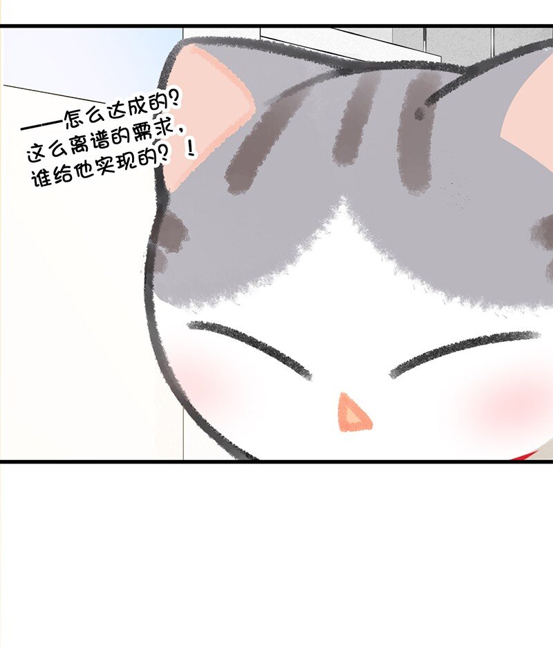 26 喵高管们的新年愿望？-第29话