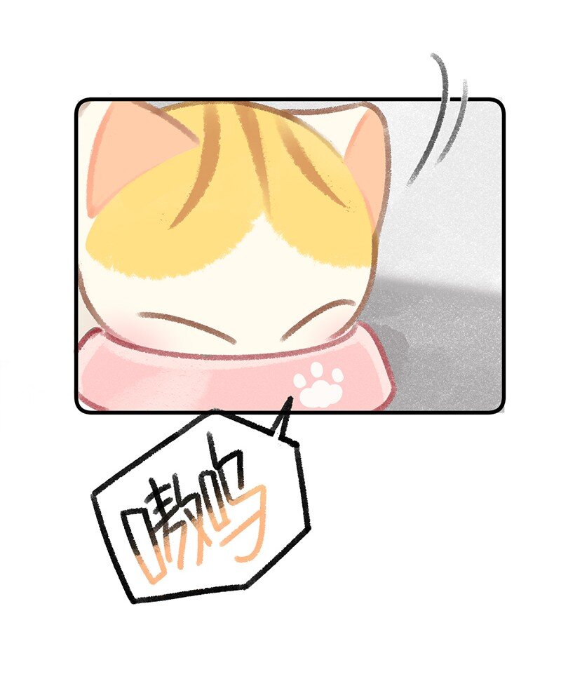 26 喵高管们的新年愿望？-第29话