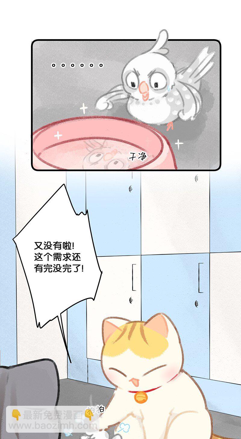 26 喵高管们的新年愿望？-第29话