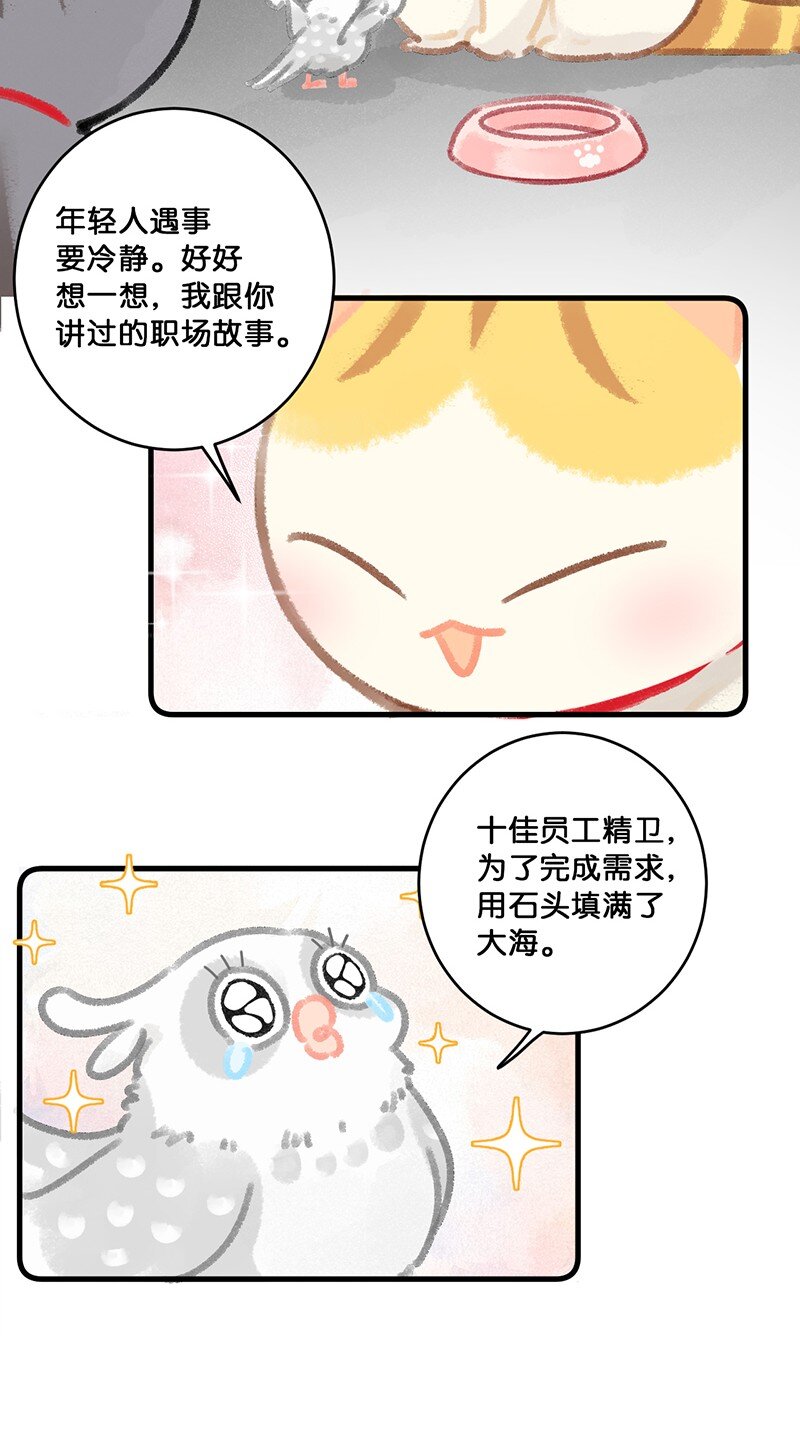 26 喵高管们的新年愿望？-第29话