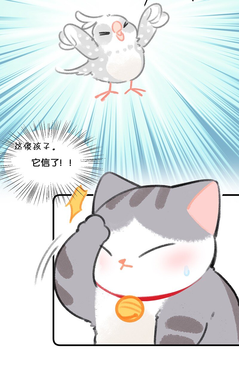 26 喵高管们的新年愿望？-第29话