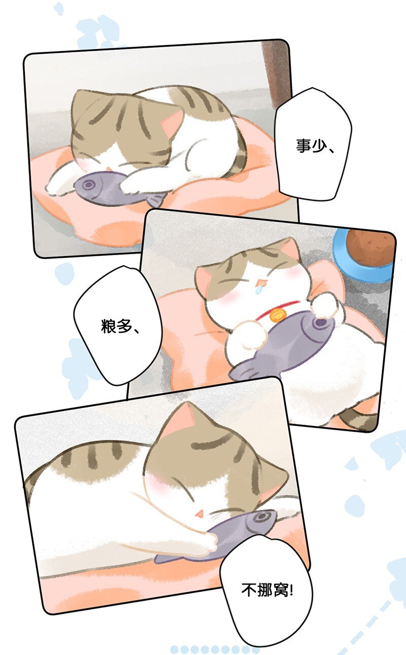 26 喵高管们的新年愿望？-第29话