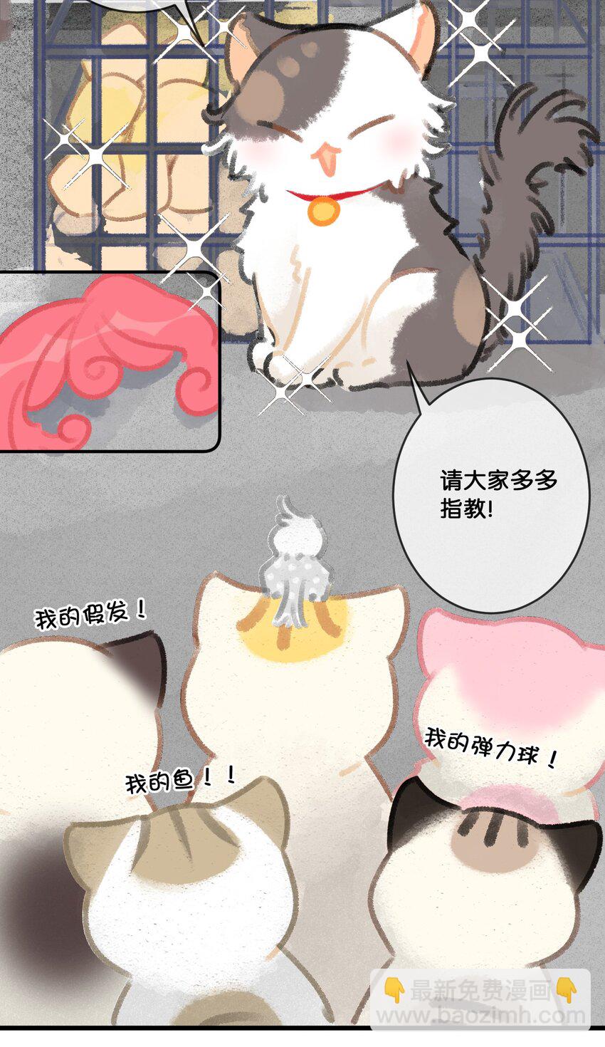 28 职场导师锅包又带出来的职场新猫！-第31话