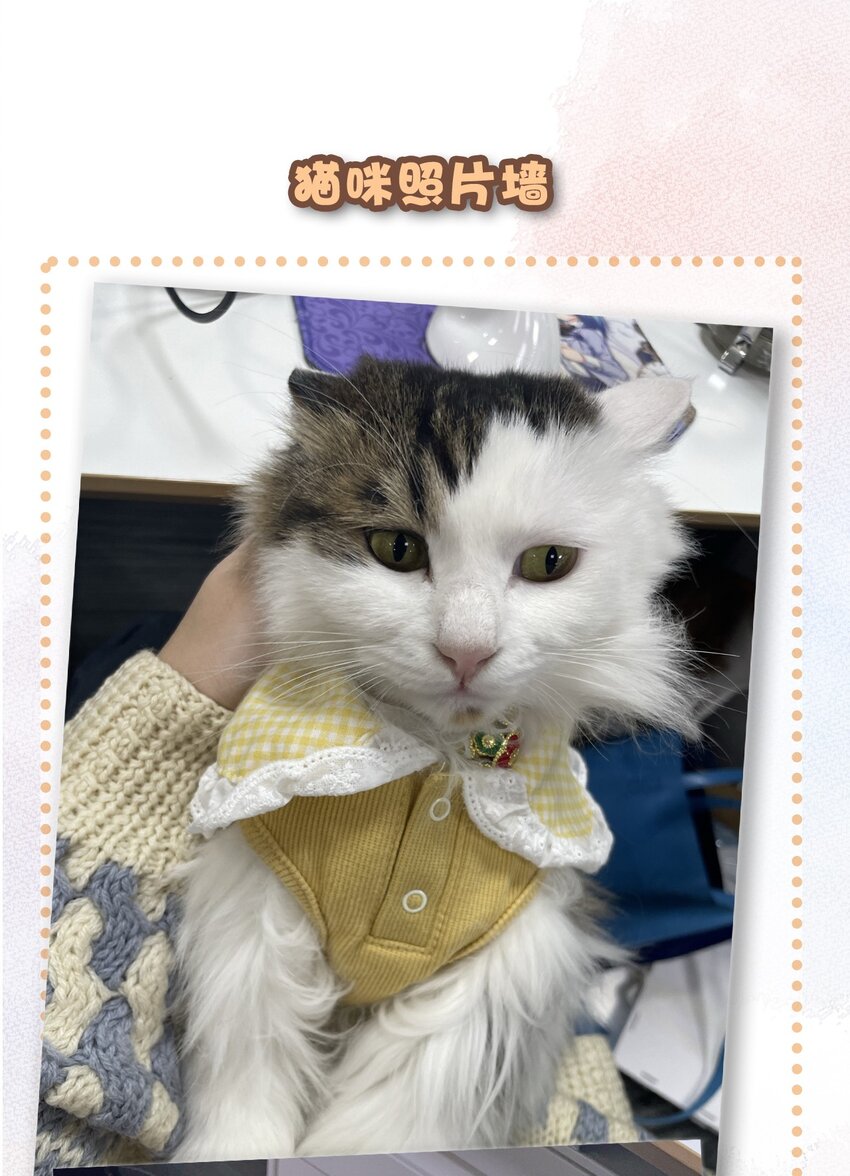 28 职场导师锅包又带出来的职场新猫！-第31话