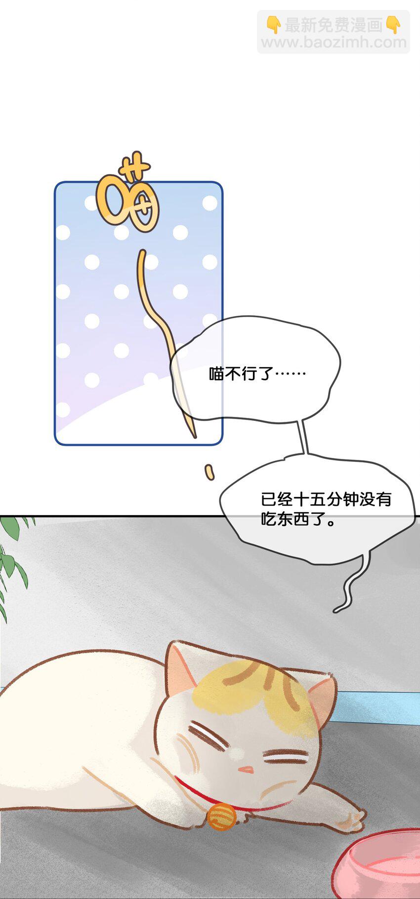 28 职场导师锅包又带出来的职场新猫！-第31话