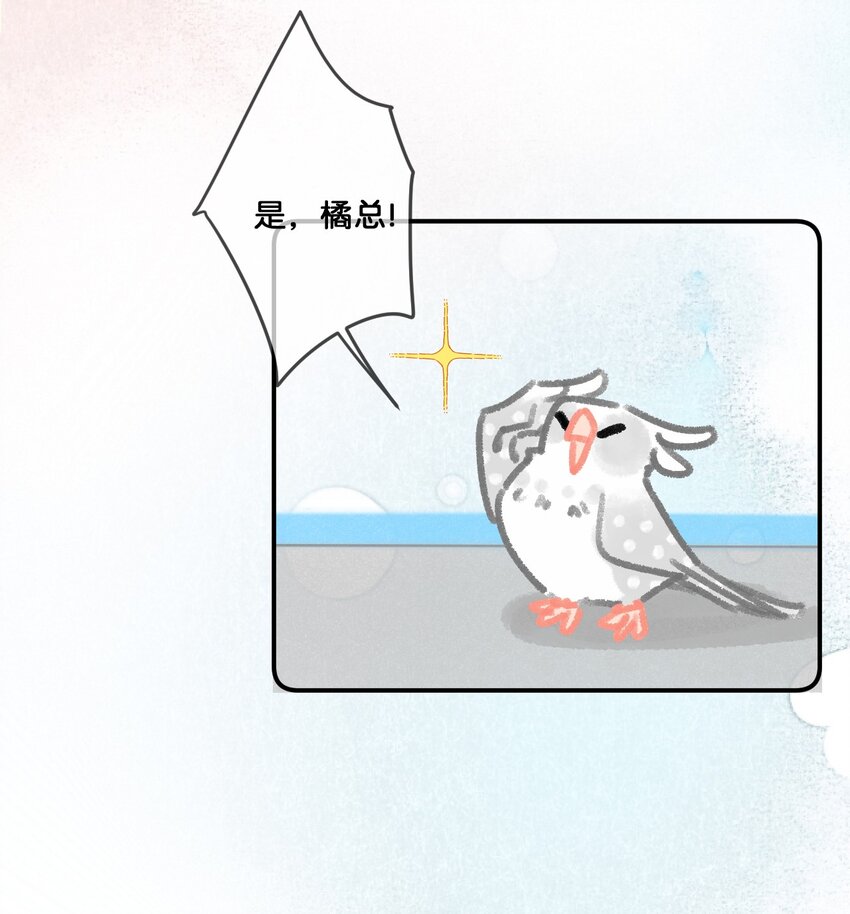 28 职场导师锅包又带出来的职场新猫！-第31话