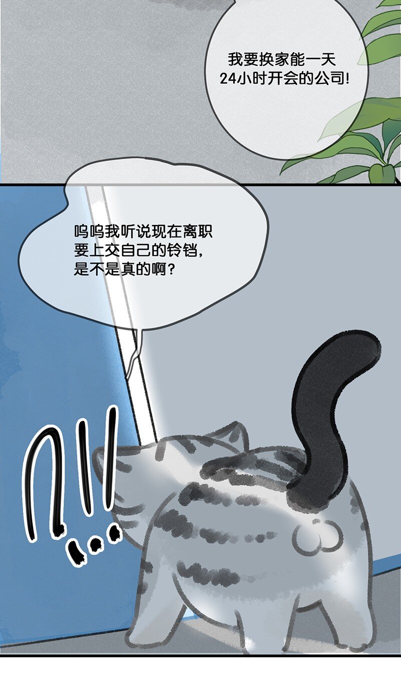 30 铃铛是高管的象征！-第33话