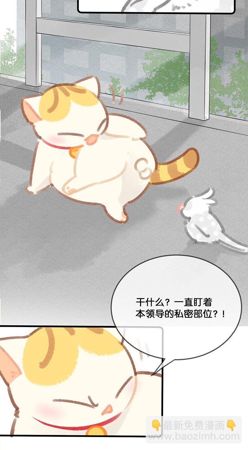 30 铃铛是高管的象征！-第33话