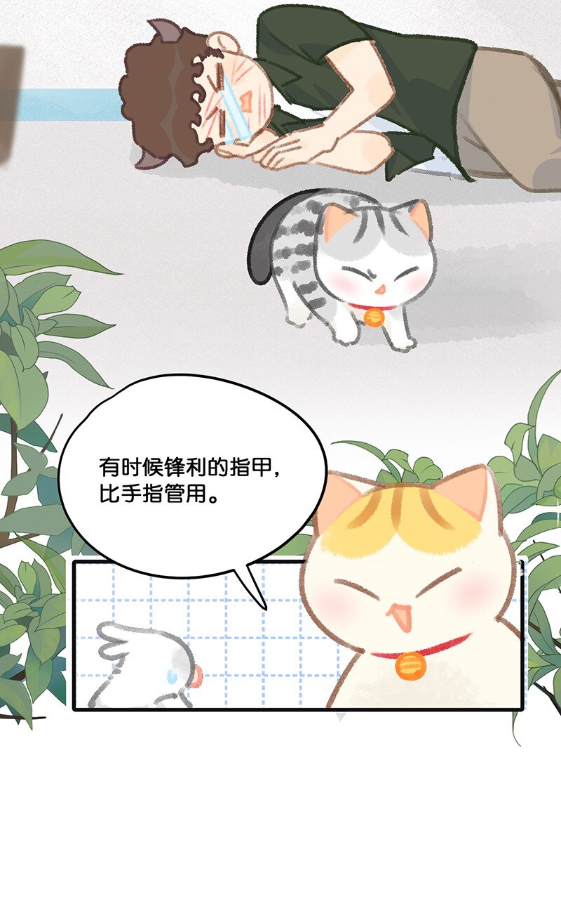 32 橘总对职场菜鸟的暖心鼓励-第35话