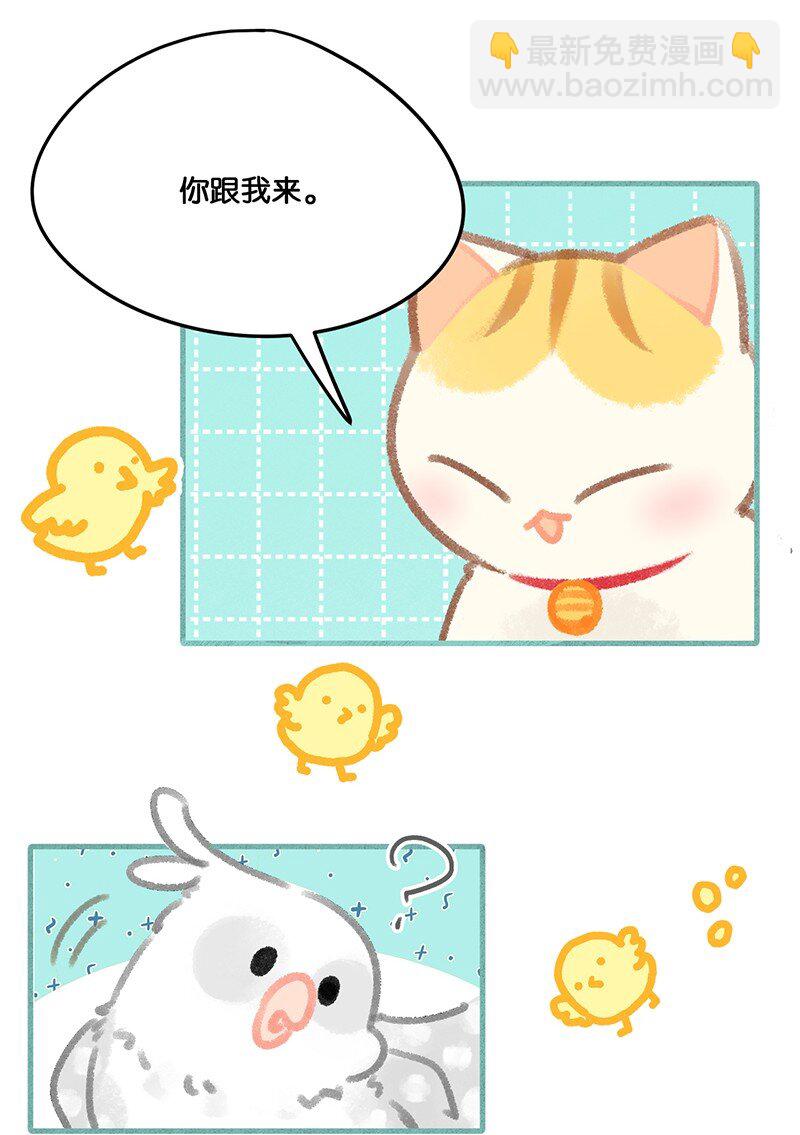 32 橘总对职场菜鸟的暖心鼓励-第35话