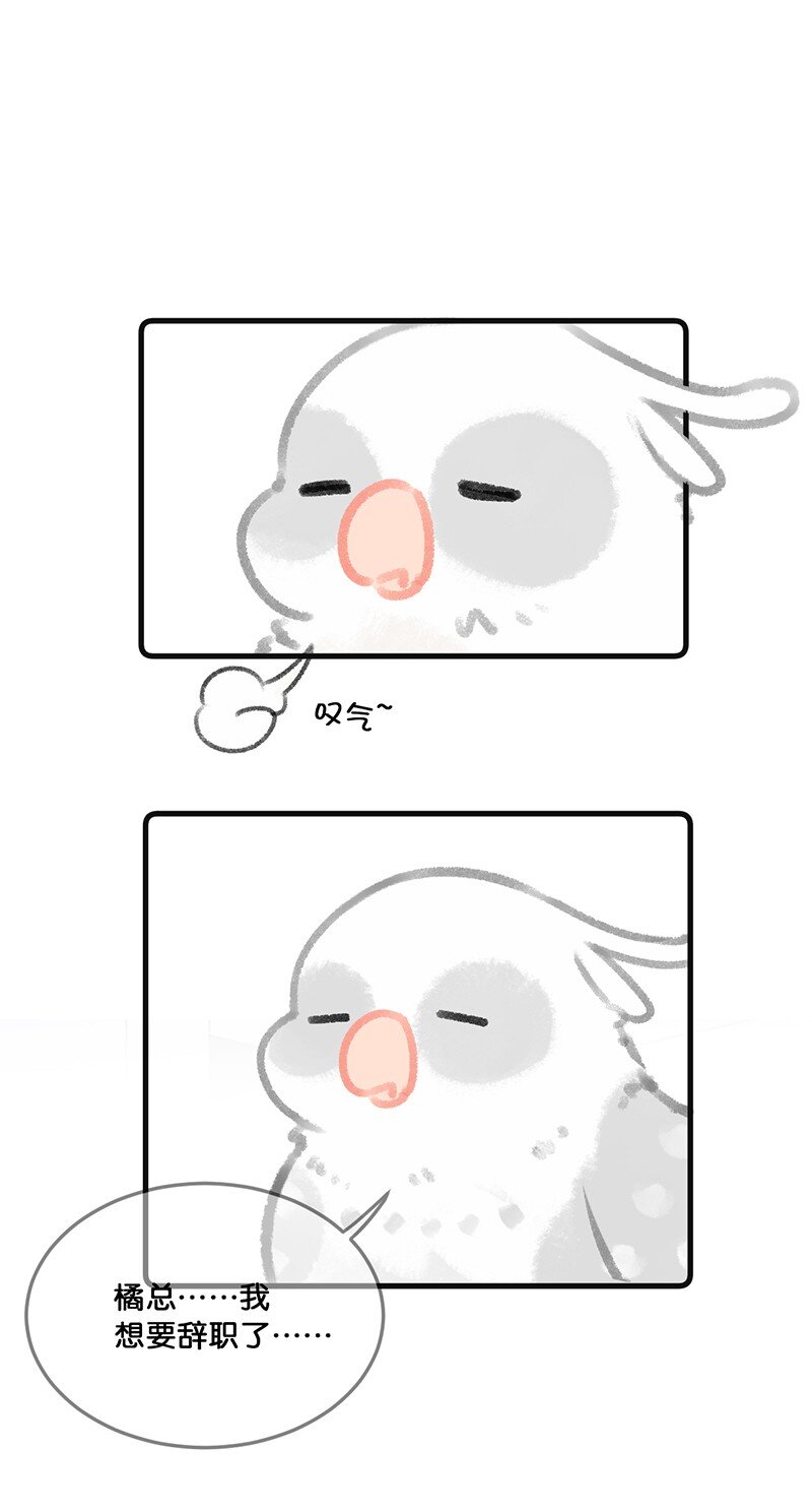 32 橘总对职场菜鸟的暖心鼓励-第35话