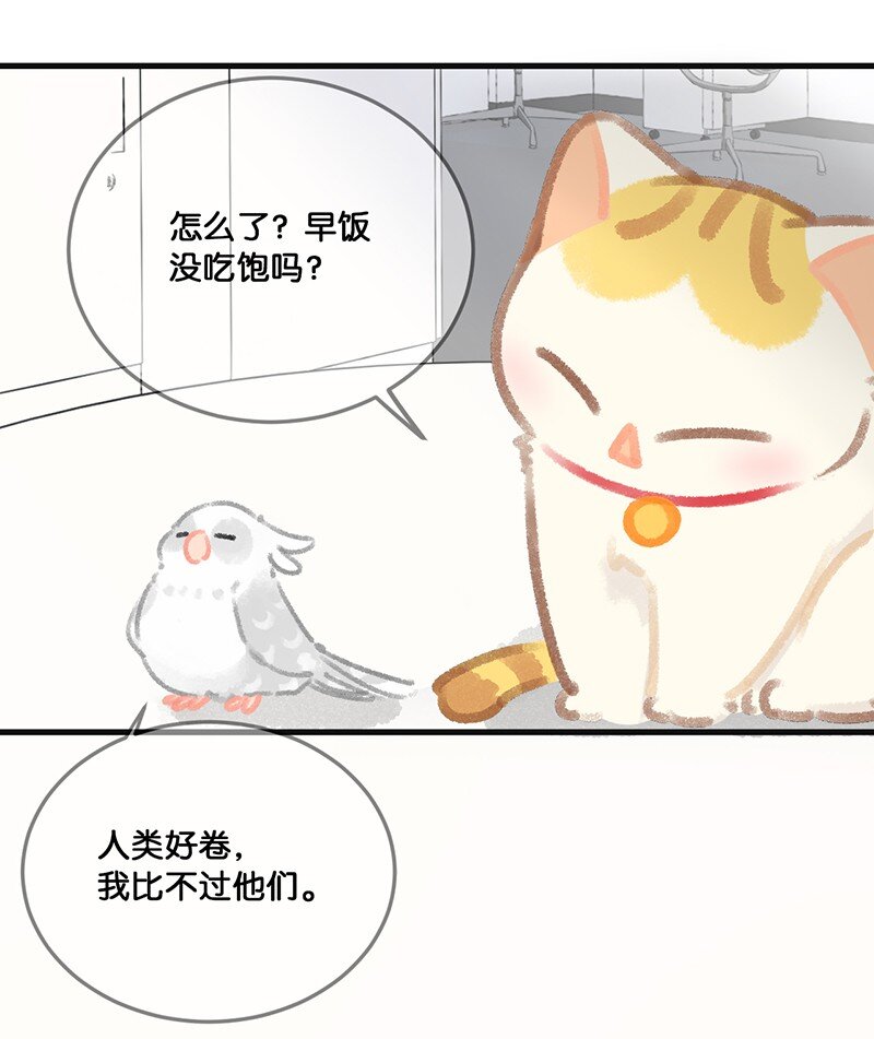 32 橘总对职场菜鸟的暖心鼓励-第35话