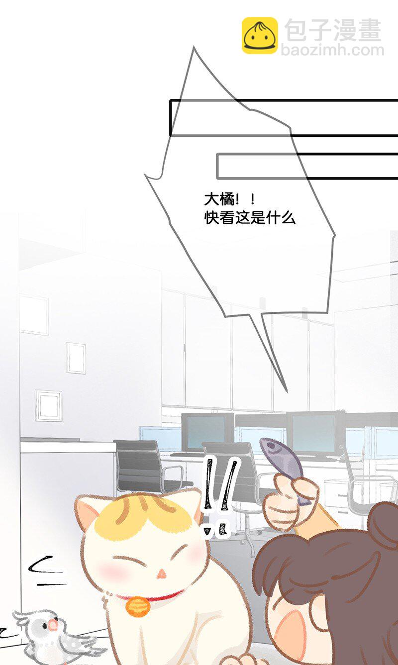 32 橘总对职场菜鸟的暖心鼓励-第35话