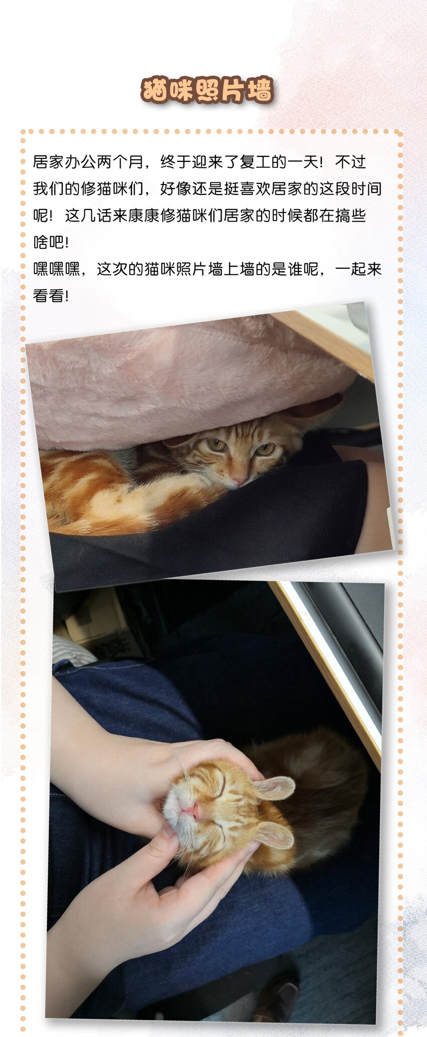 34 居家办公开会真难-第37话