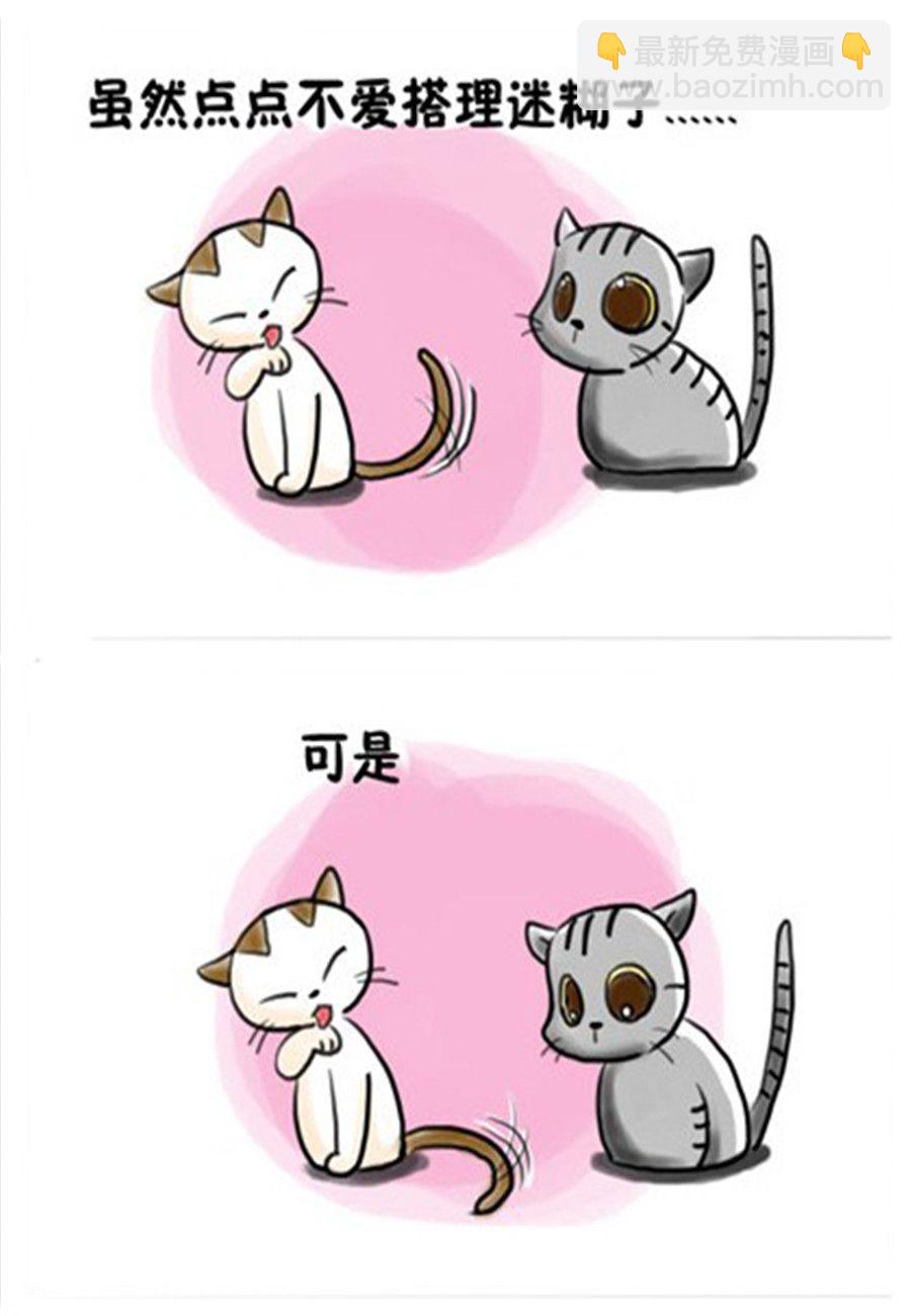 喵喵家族 第11集-第11话