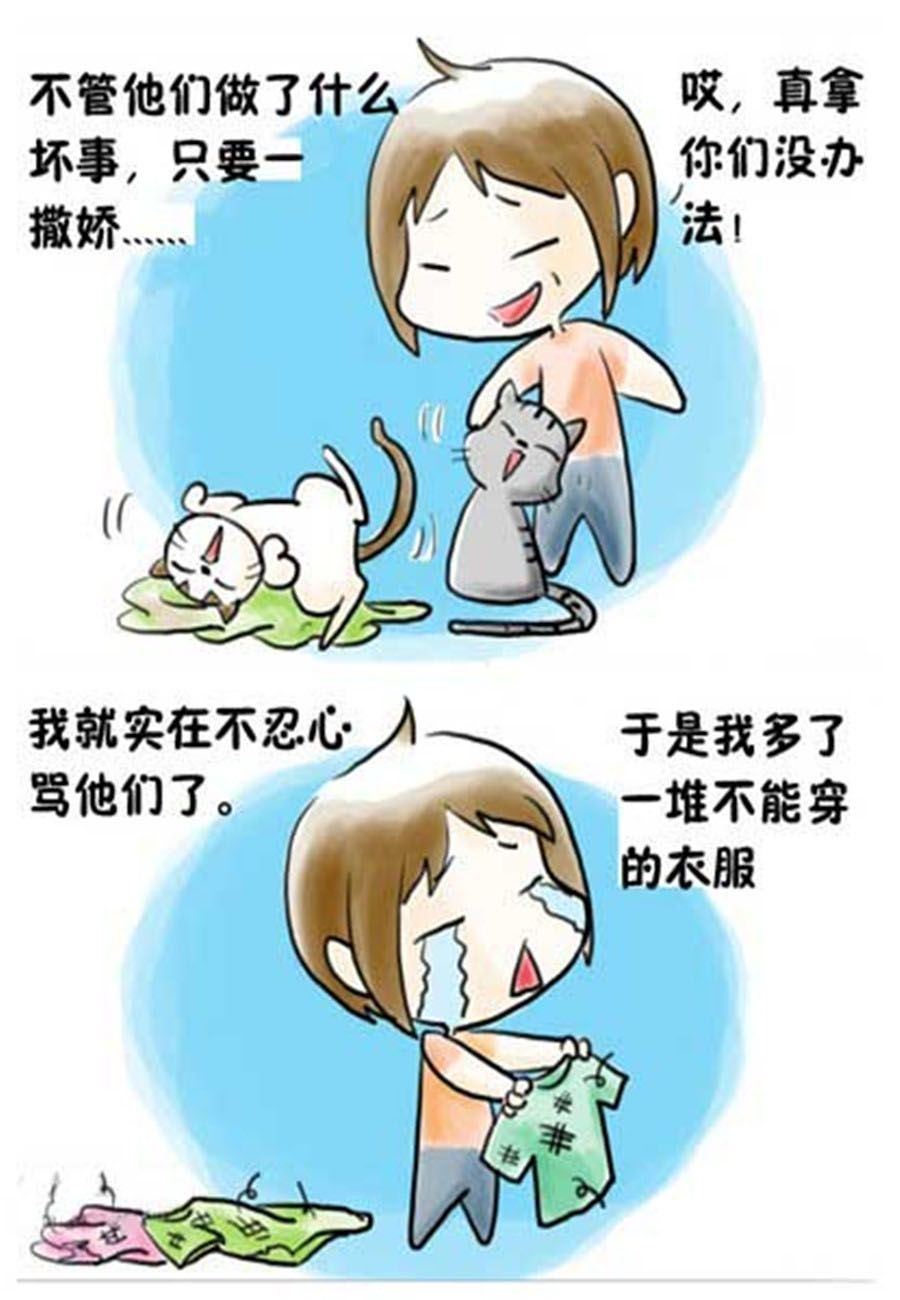 喵喵家族 第13集-第13话