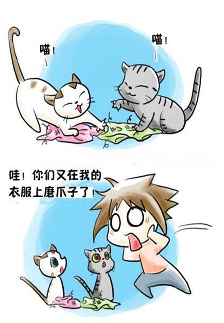 喵喵家族 第13集-第13话