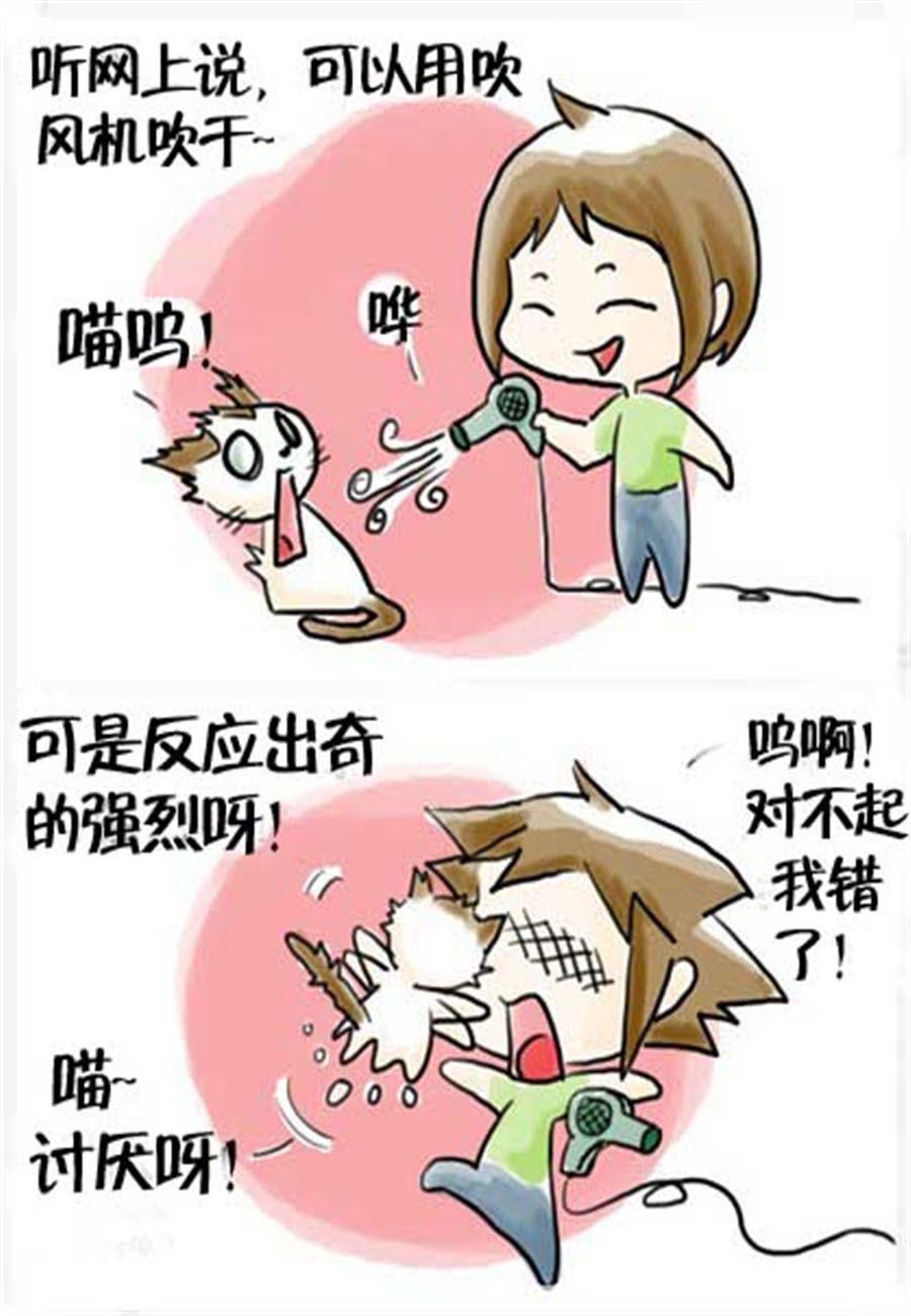 喵喵家族 第15集-第15话