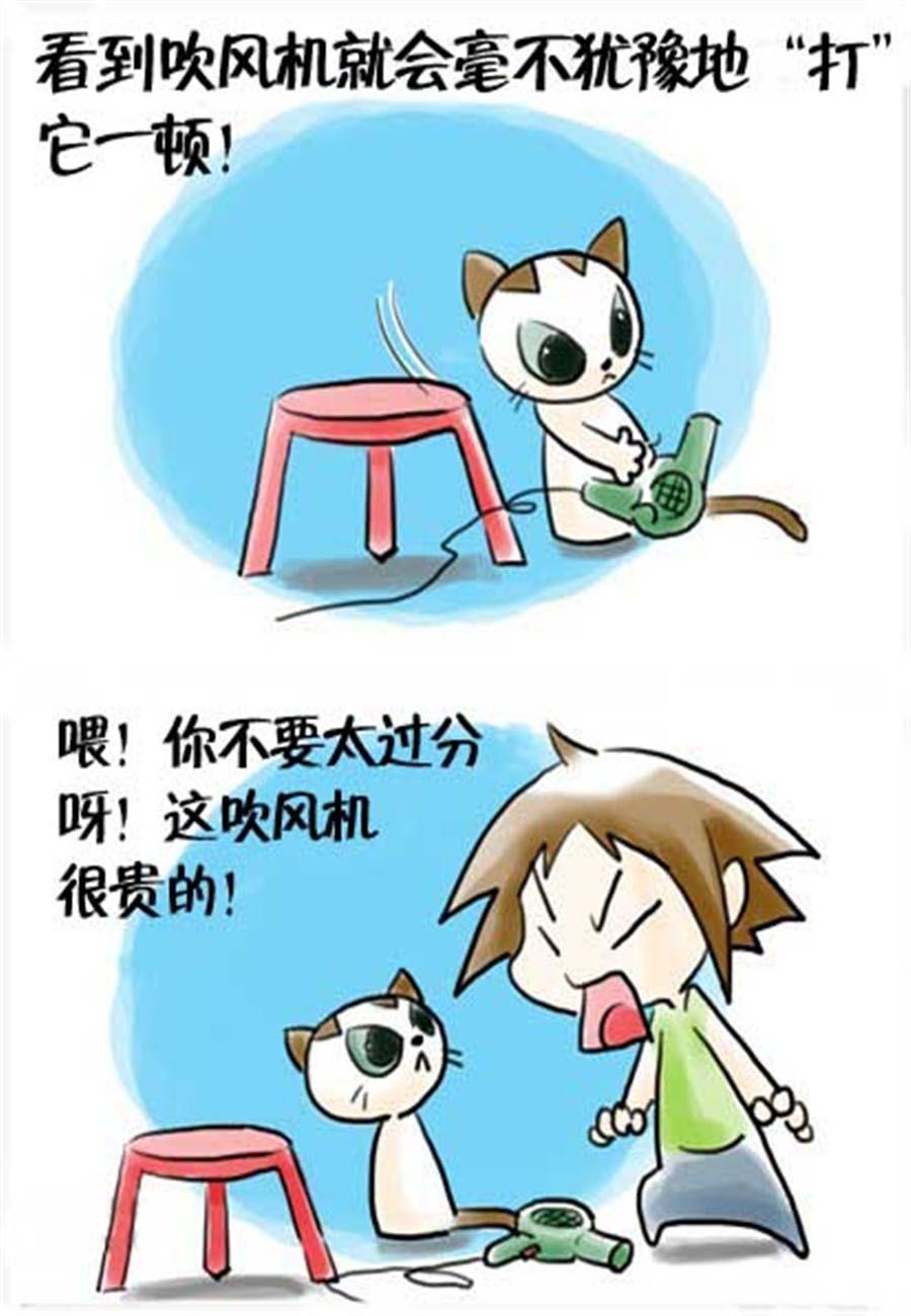 喵喵家族 第15集-第15话