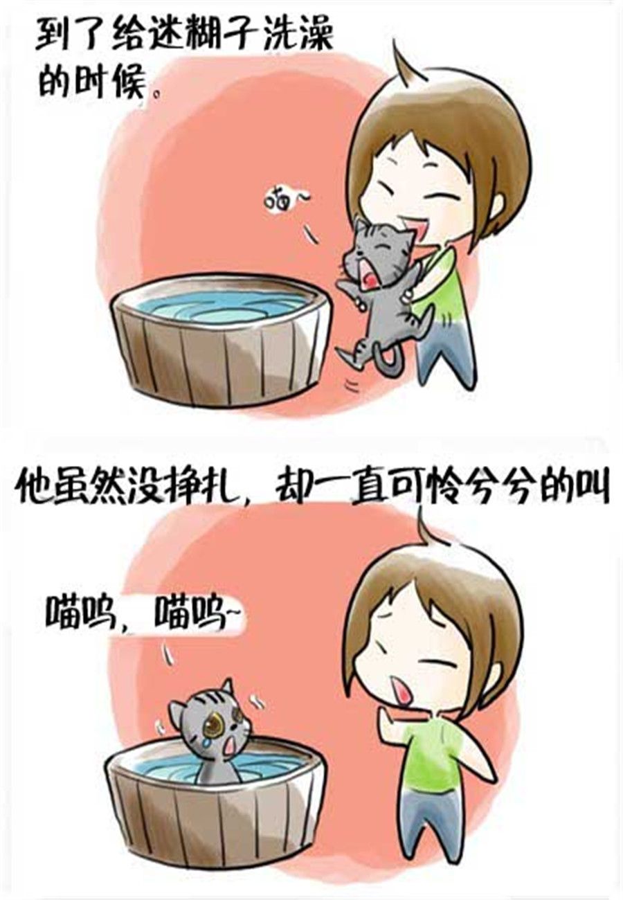 喵喵家族 第15集-第15话