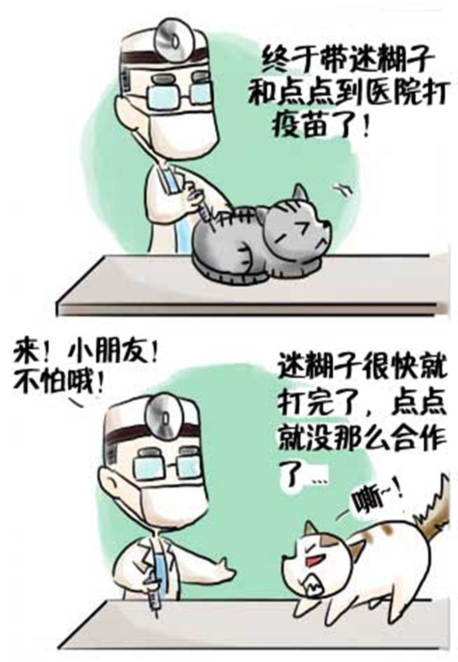 喵喵家族 第17集-第17话