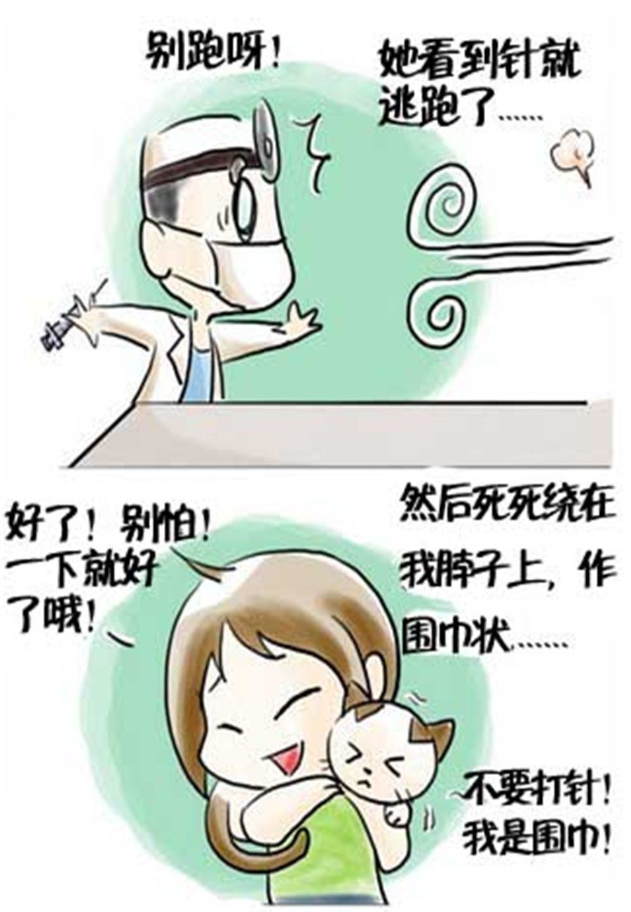 喵喵家族 第17集-第17话