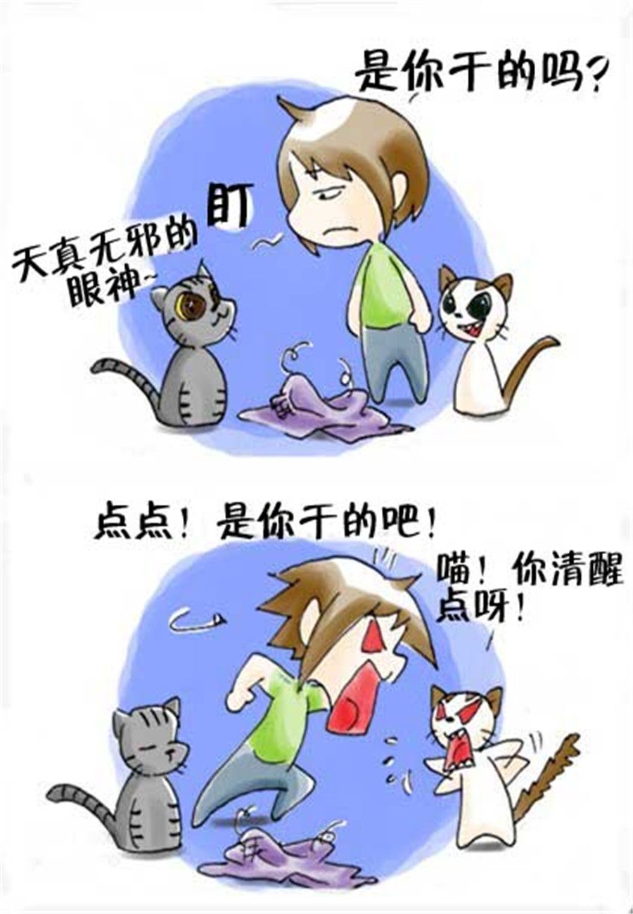 喵喵家族 第21集-第21话