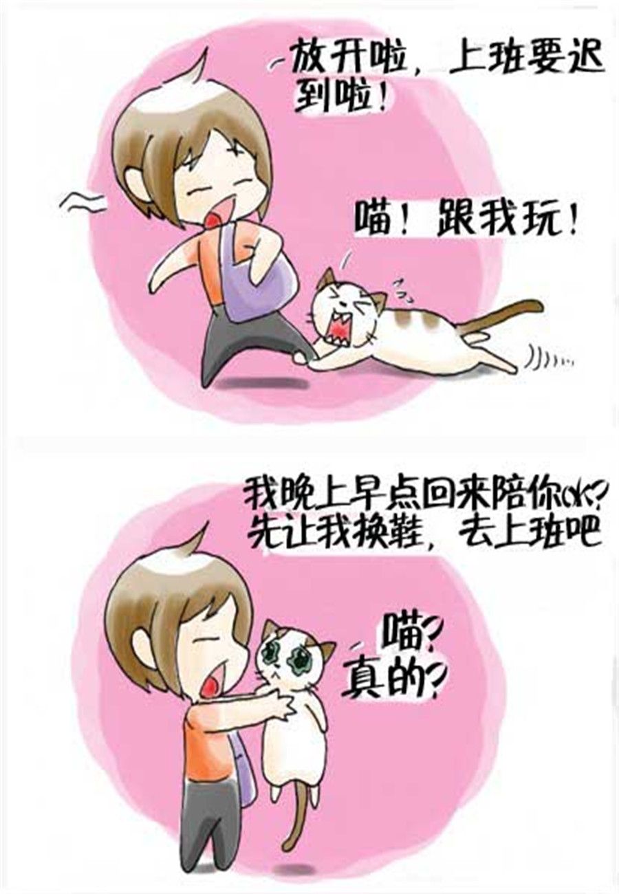 喵喵家族 第21集-第21话