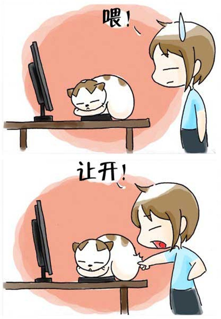 喵喵家族 第27集-第27话