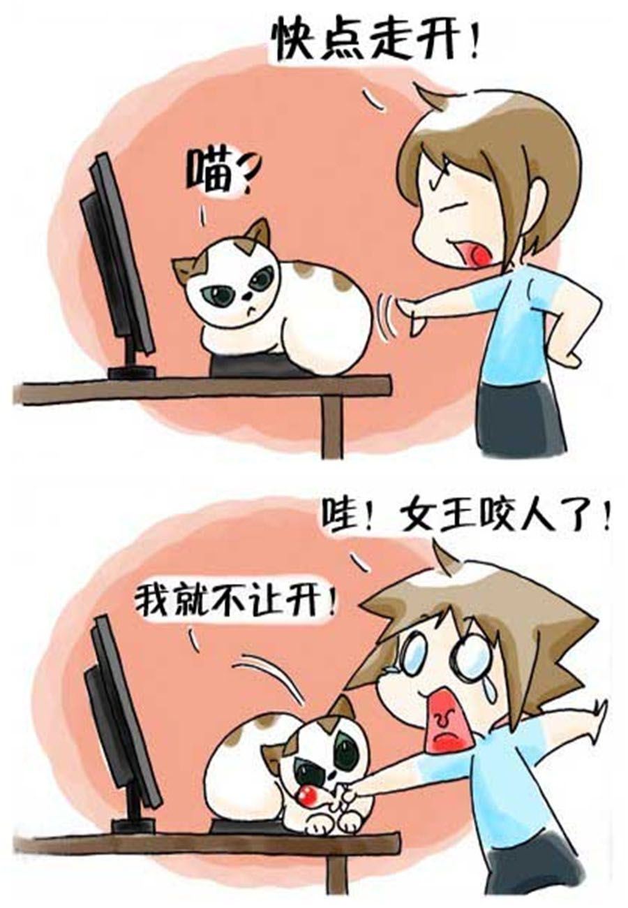 喵喵家族 第27集-第27话