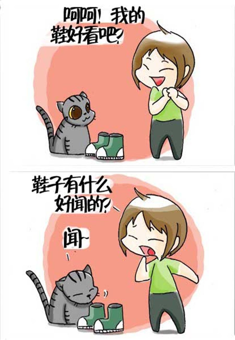 喵喵家族 第31集-第31话