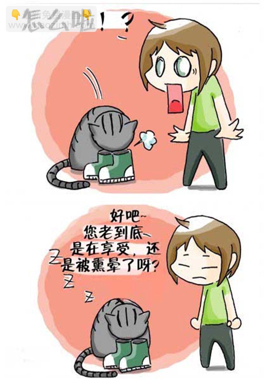 喵喵家族 第31集-第31话