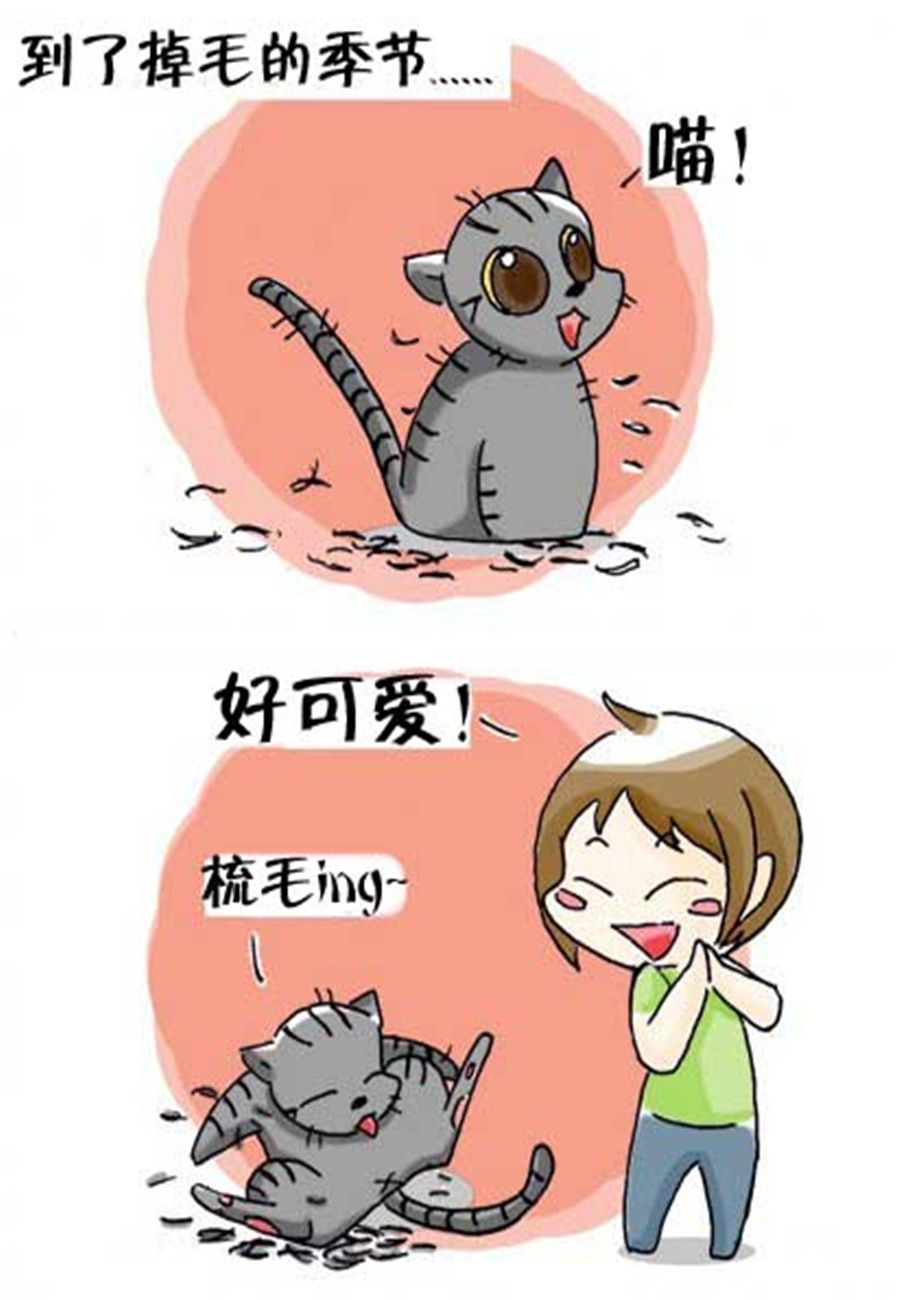 喵喵家族 第31集-第31话