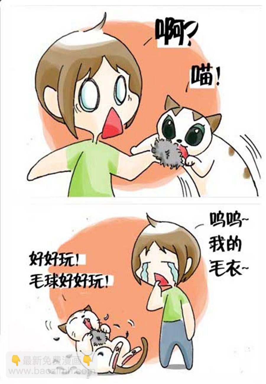 喵喵家族 第31集-第31话