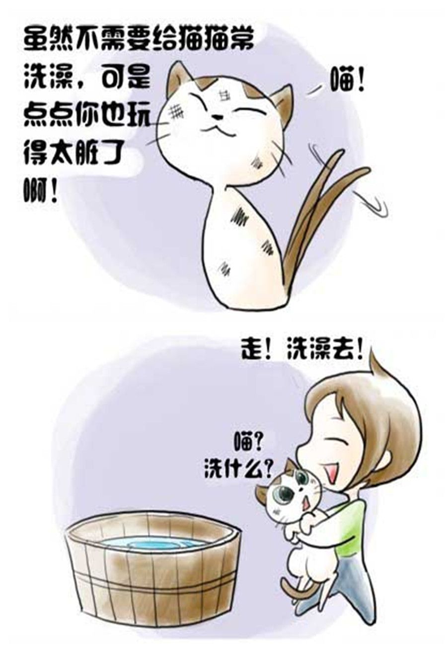 喵喵家族 第5集-第5话