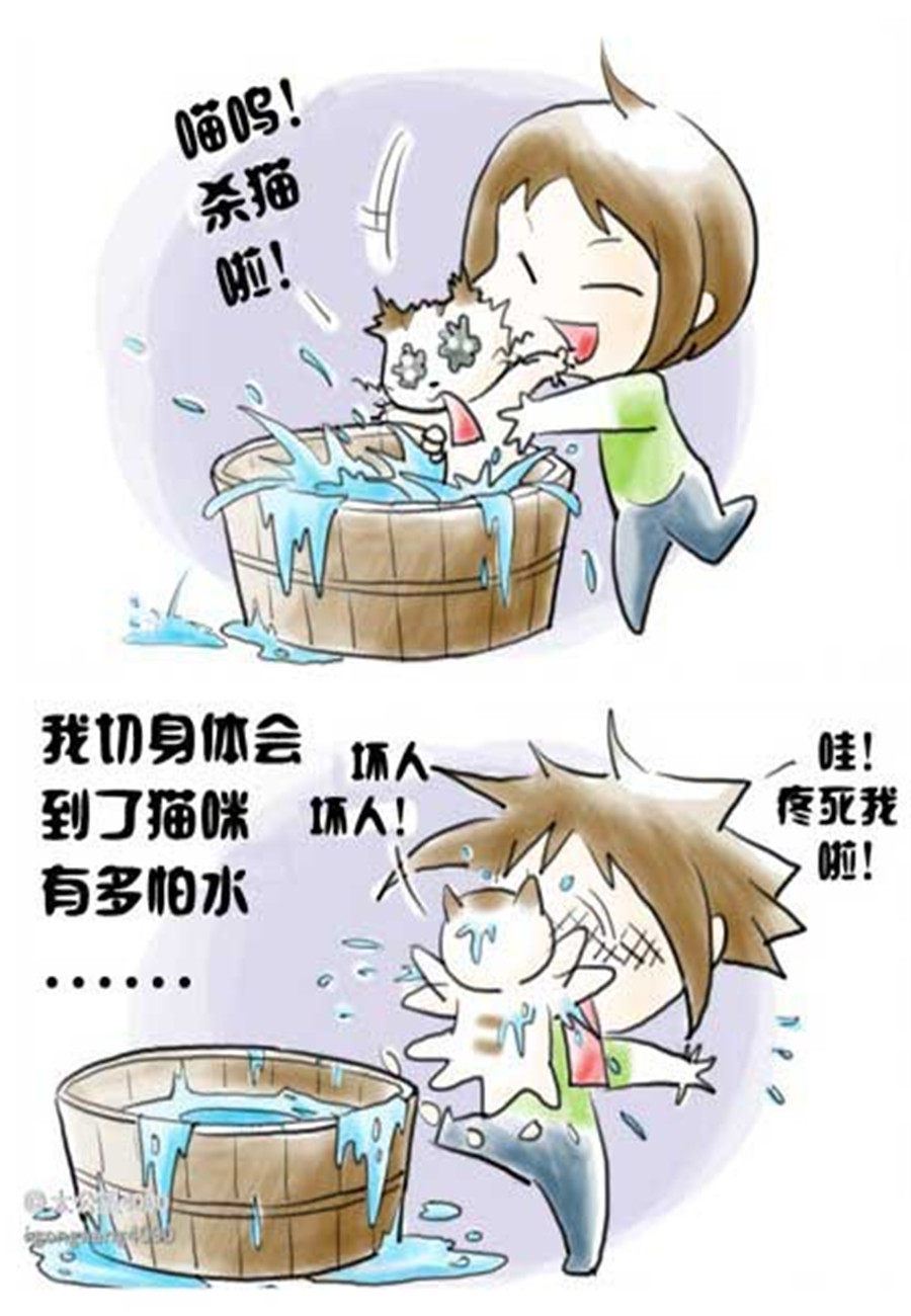 喵喵家族 第5集-第5话