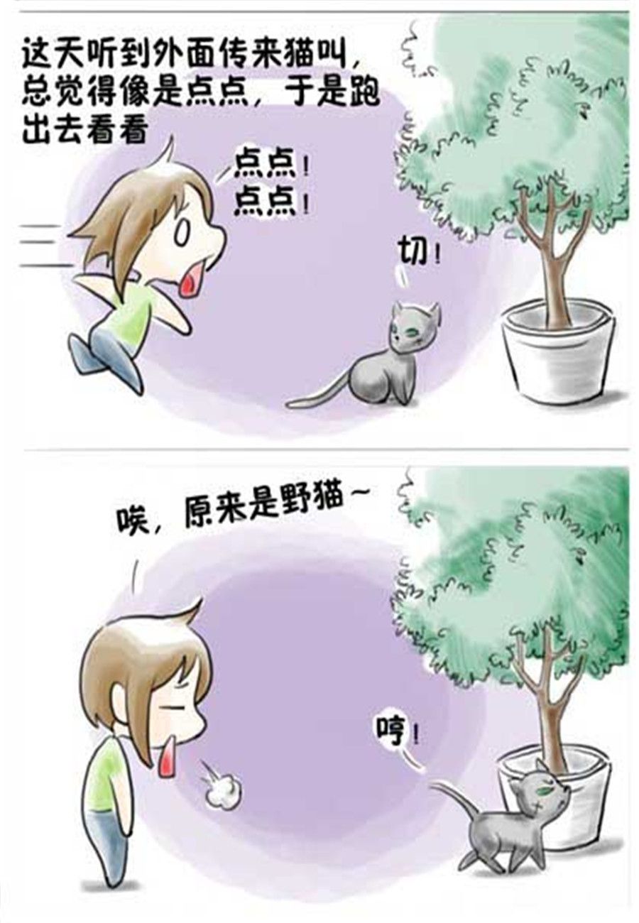 喵喵家族 第9集-第9话