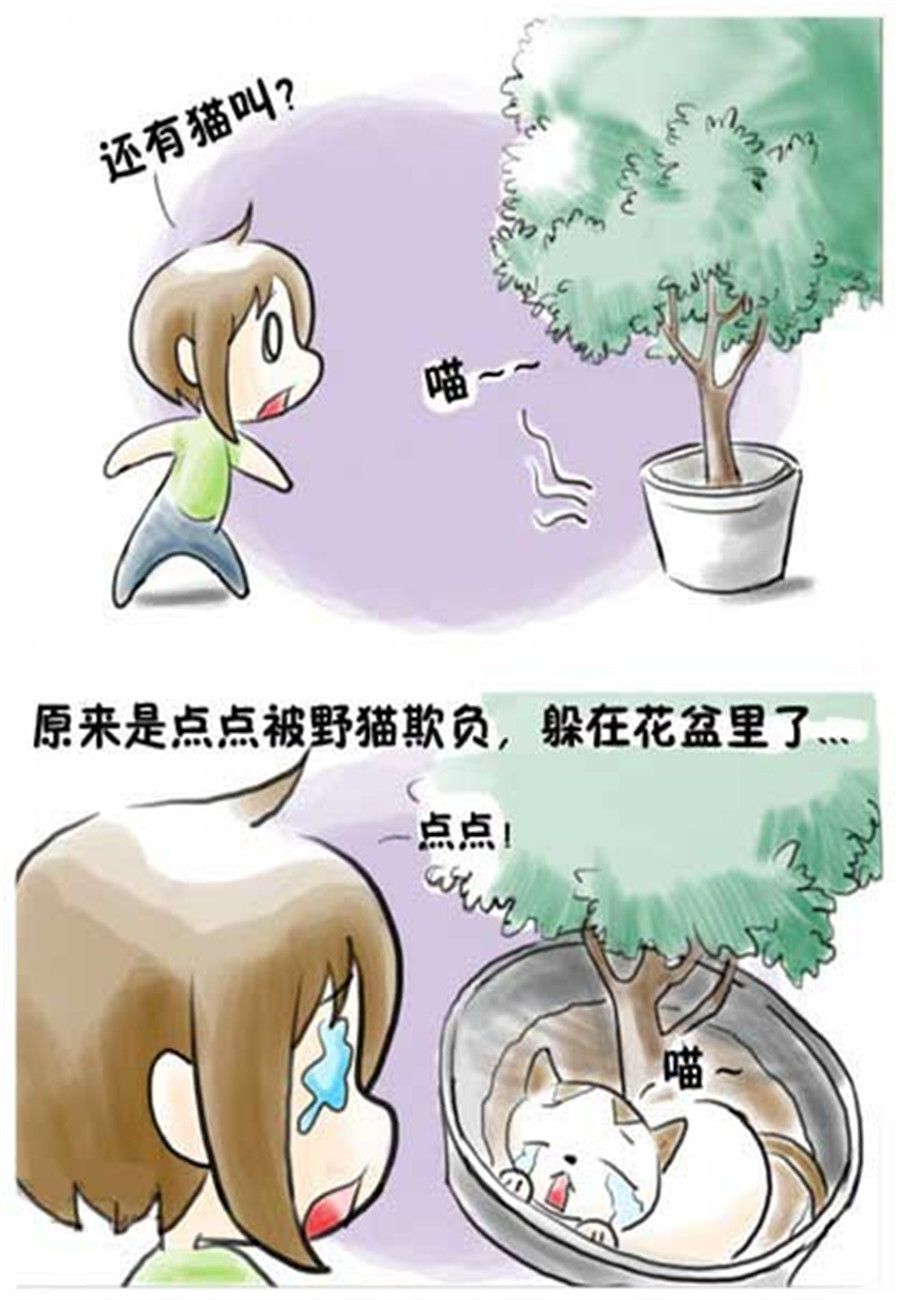 喵喵家族 第9集-第9话