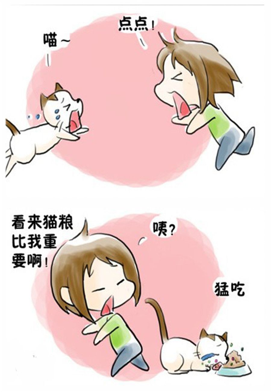 喵喵家族 第9集-第9话