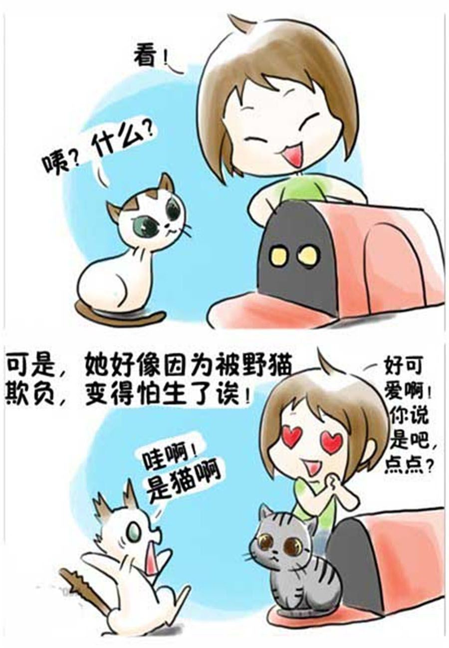 喵喵家族 第9集-第9话