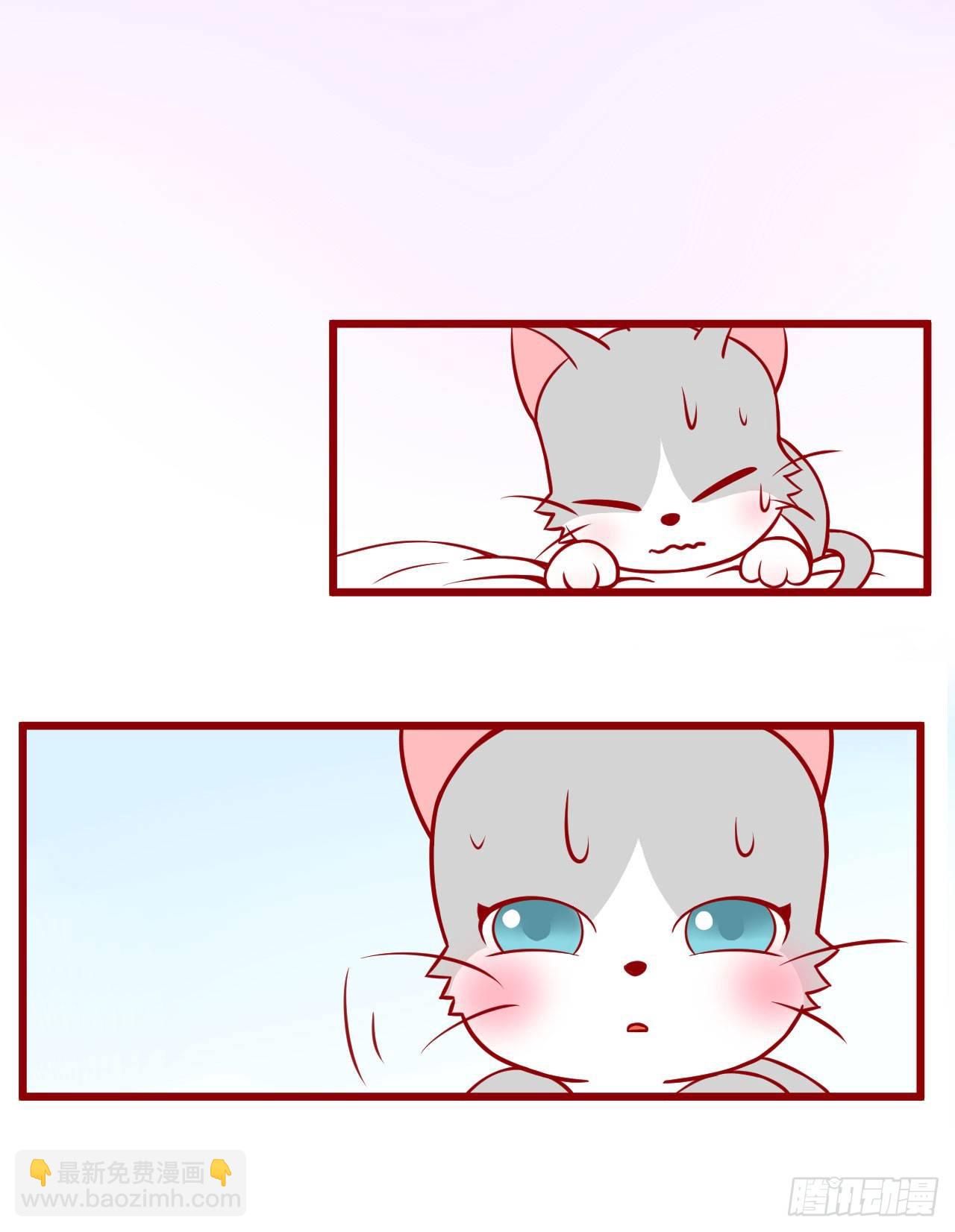 喵聲入夏 - 02.錯誤安撫貓咪的姿勢 - 4