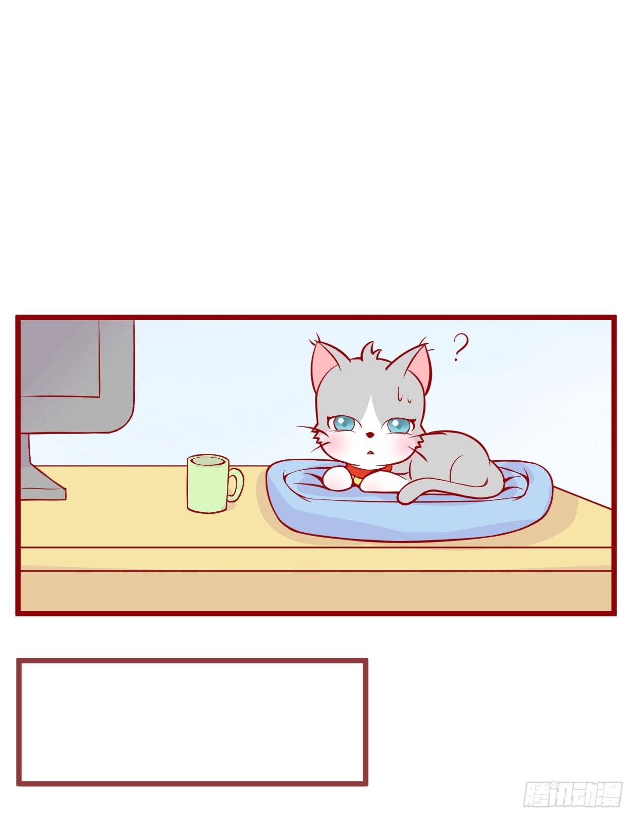 喵聲入夏 - 02.錯誤安撫貓咪的姿勢 - 5