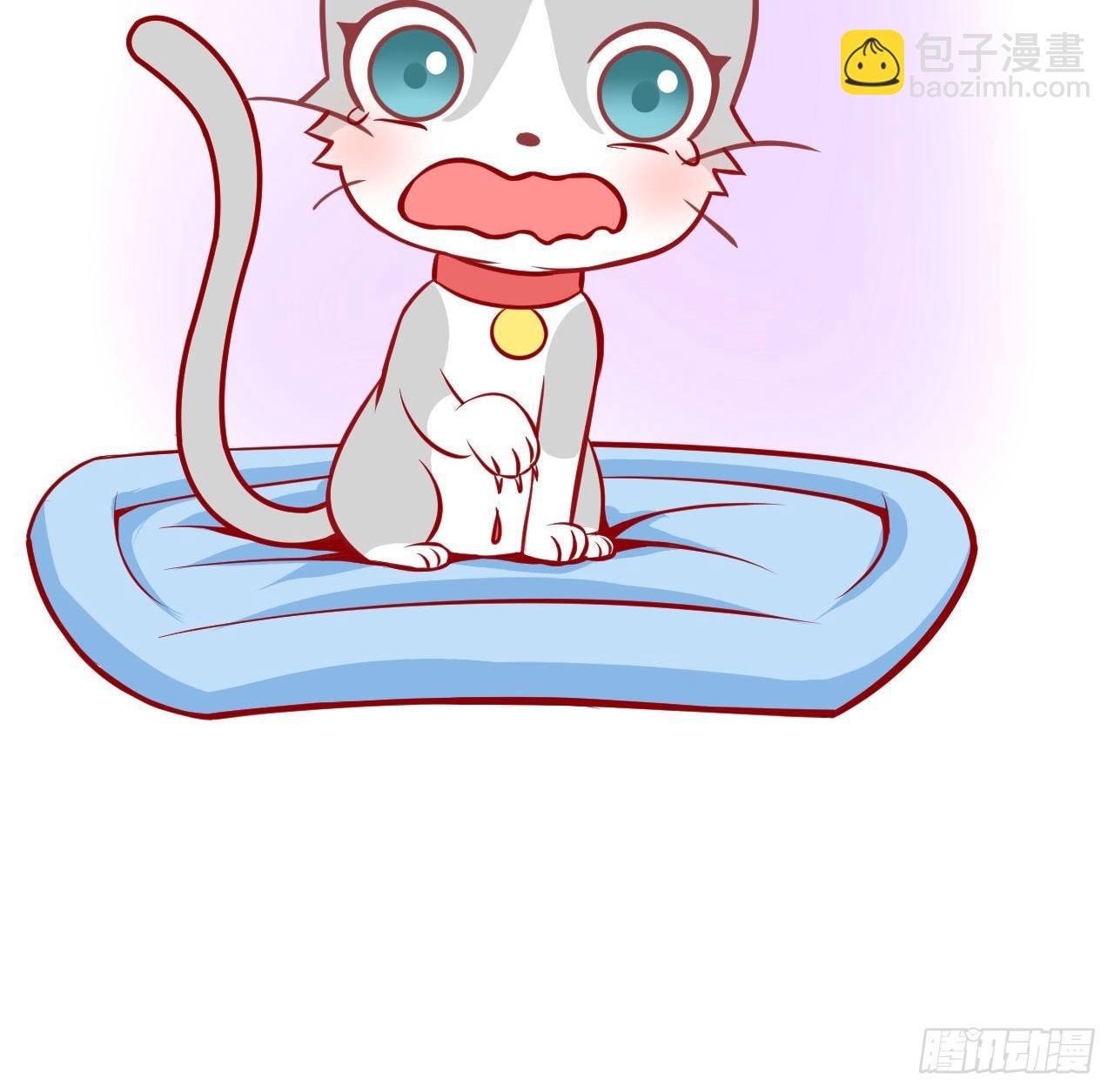 喵聲入夏 - 02.錯誤安撫貓咪的姿勢 - 4
