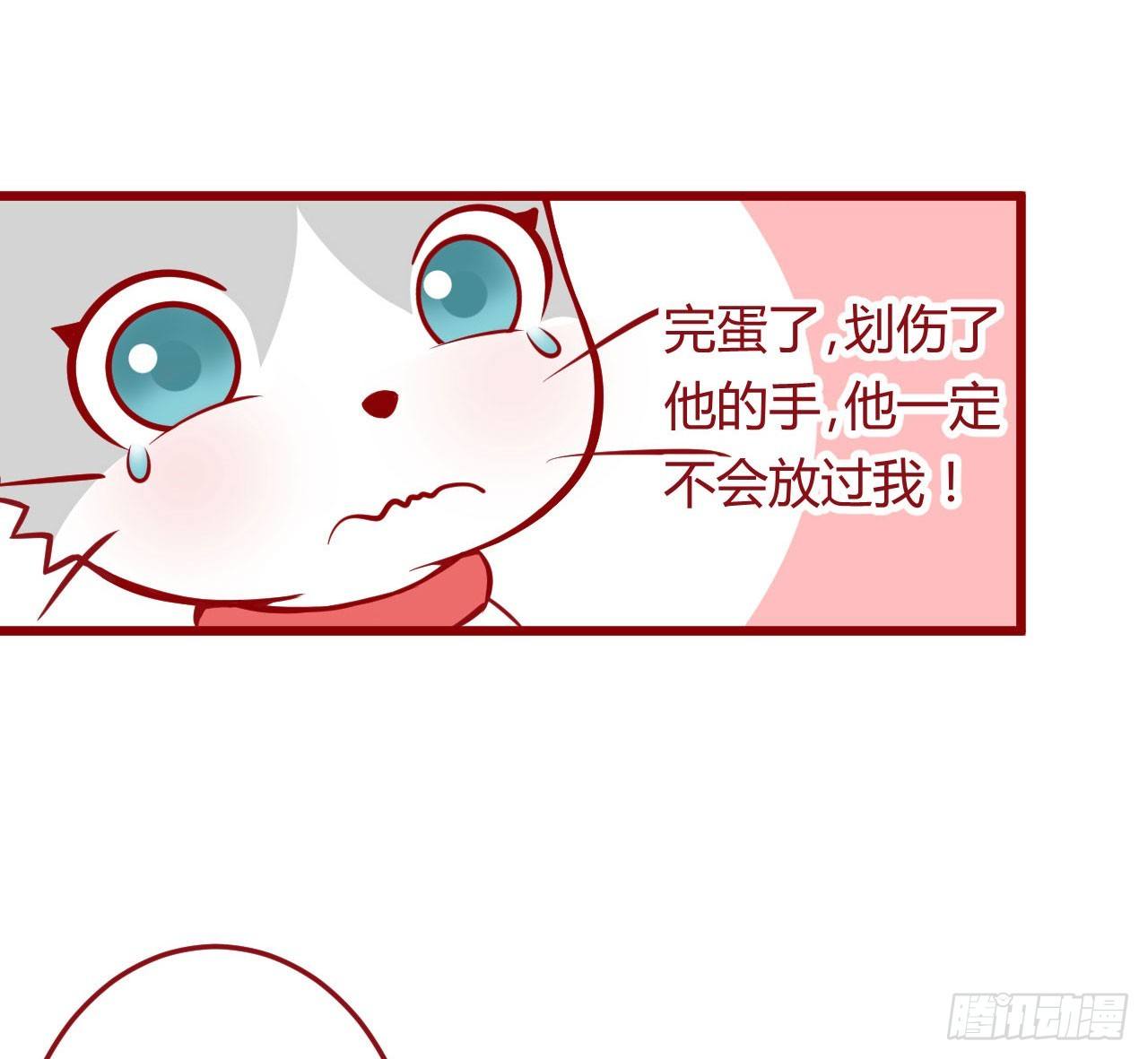 喵聲入夏 - 02.錯誤安撫貓咪的姿勢 - 1