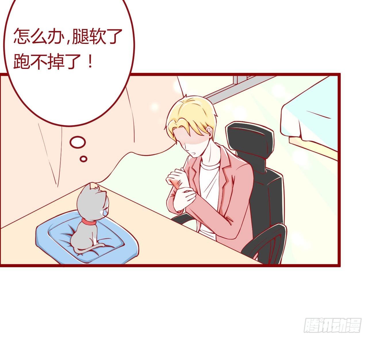 喵聲入夏 - 02.錯誤安撫貓咪的姿勢 - 2