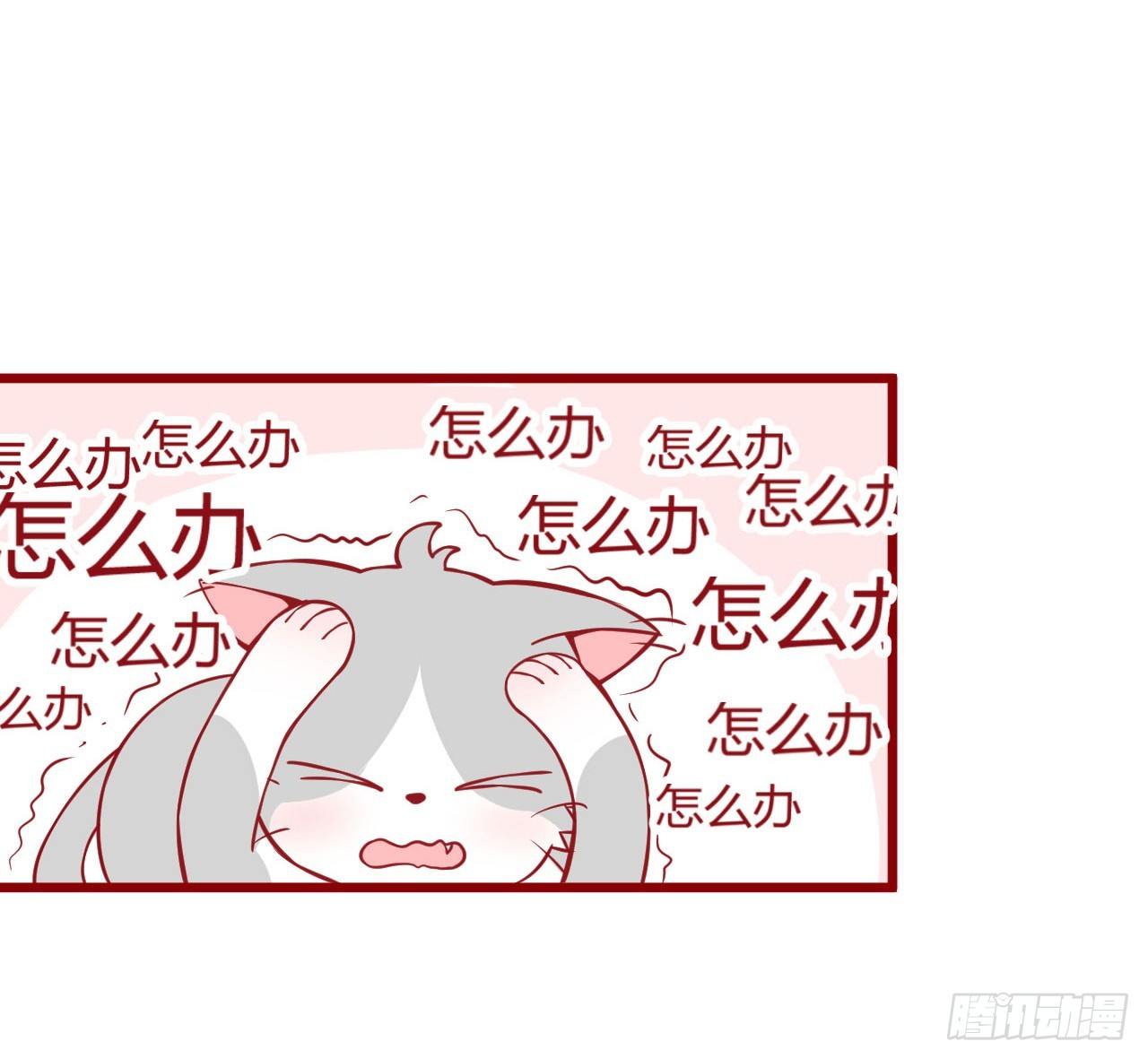喵聲入夏 - 02.錯誤安撫貓咪的姿勢 - 4