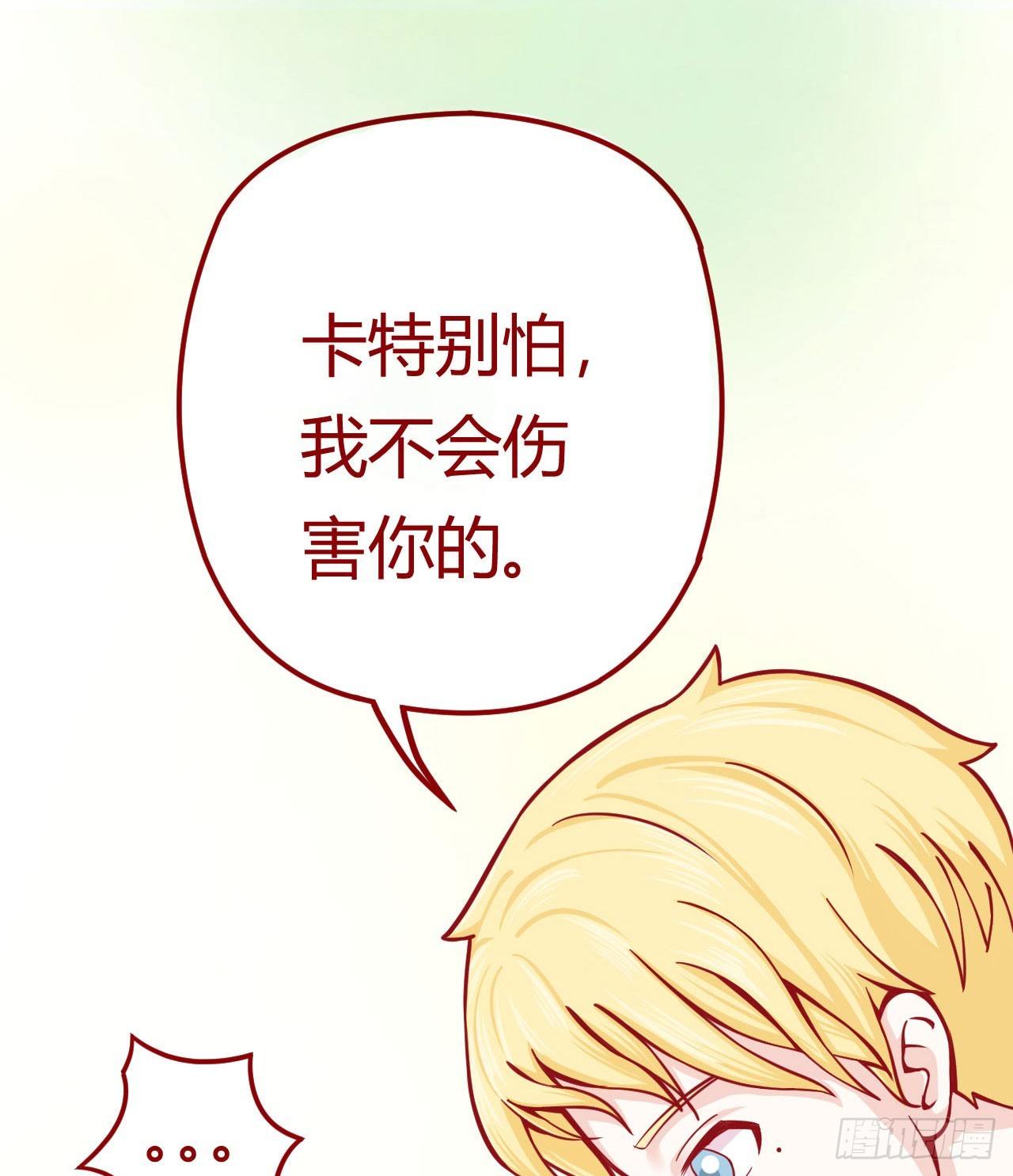 喵聲入夏 - 02.錯誤安撫貓咪的姿勢 - 1