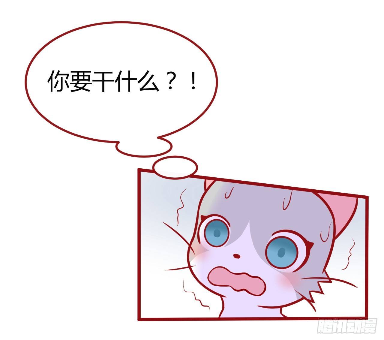 喵聲入夏 - 02.錯誤安撫貓咪的姿勢 - 4